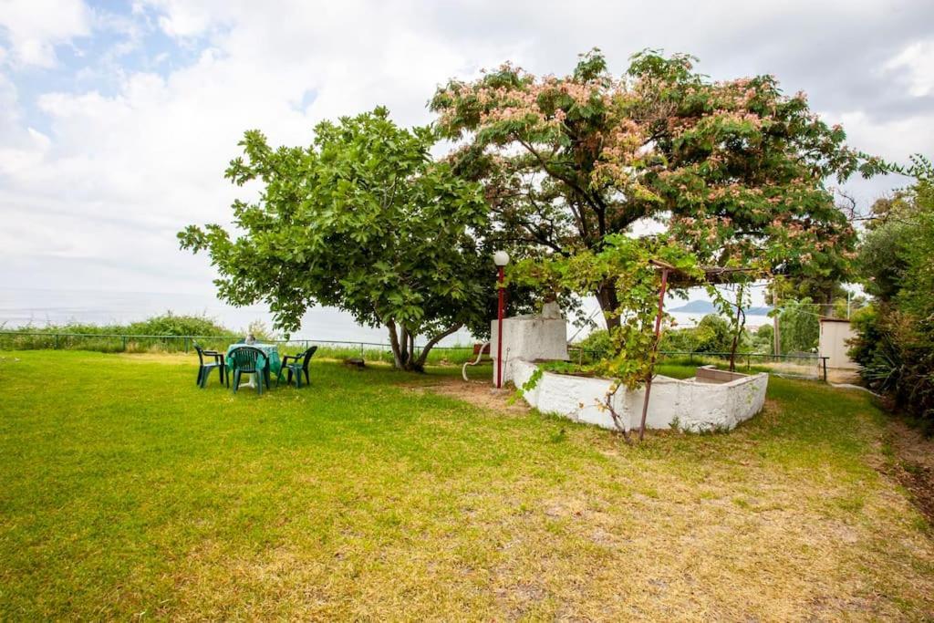 Mola Kaliva Sea View, 100M From The Beach! Exterior foto